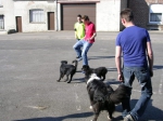 dscn0795