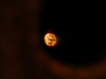 dscn0811