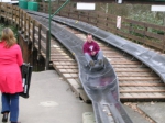 dscn0637