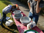 IMG-20211009-WA0053