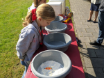 IMG_20211009_141902