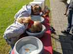 IMG_20211009_141903