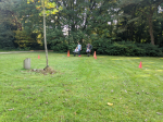 IMG_20211009_144423_1
