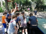 IMG-20190824-WA0020