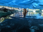 IMG_20190824_141549