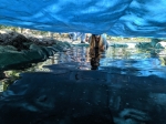 IMG_20190824_141551