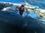 IMG_20190824_143948