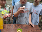 IMG_20200829_142917