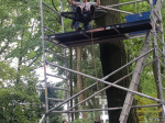 IMG-20210913-WA0007