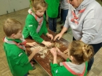 IMG-20191123-WA0011_copy