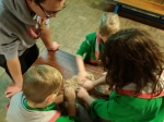 IMG-20191123-WA0014_copy