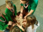 IMG-20191123-WA0015_copy