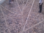 imag0327