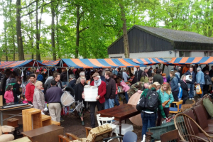 Vlooienmarkt 2016