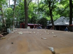 IMG_20190602_121145_1