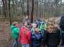 Welpen: Bosspellen 26 januari 2019