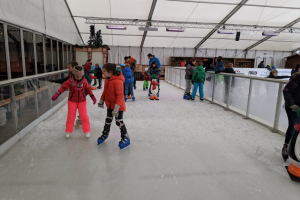 Welpen: Schaatsen 22 december