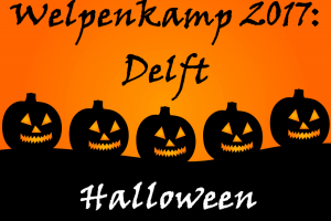 Welpen: Zomerkamp 2017: Delft