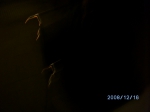 bild0033