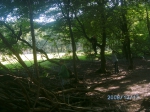 bild0040