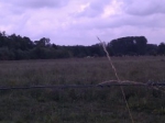 imag0081