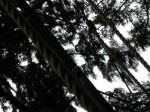 p1010065