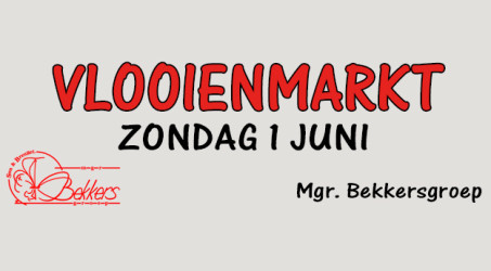 Vlooienmarkt 1 juni 2025